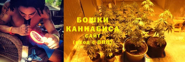 сатива Абдулино