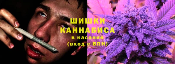 сатива Абдулино