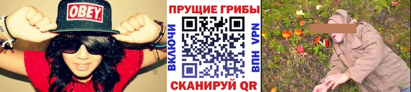 сайты даркнета какой сайт  Новочебоксарск  Галлюциногенные грибы Magic Shrooms 